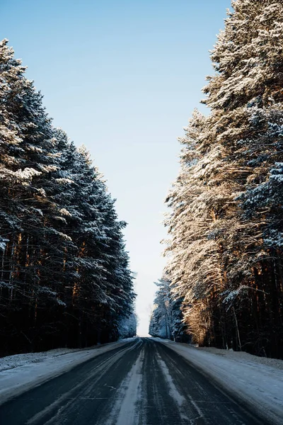 Χιονισμένο Δάσος Σιβηρίας Δεκέμβριο — Φωτογραφία Αρχείου