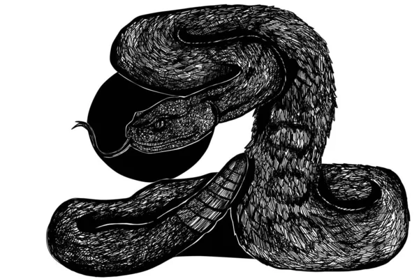 Dangerous Snake Black Ink Illustration — Stock Photo, Image