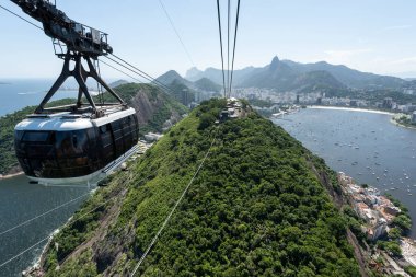 Sugar Loaf teleferiğinden yeşil yağmur ormanlarına güzel bir manzara, Rio de Janeiro, Brezilya