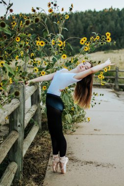 ballerina dancing near sunflowers outside