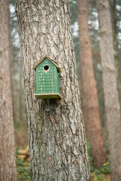 Bird House Tree — Stockfoto