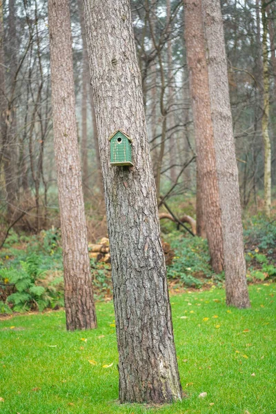 Bird House Tree —  Fotos de Stock