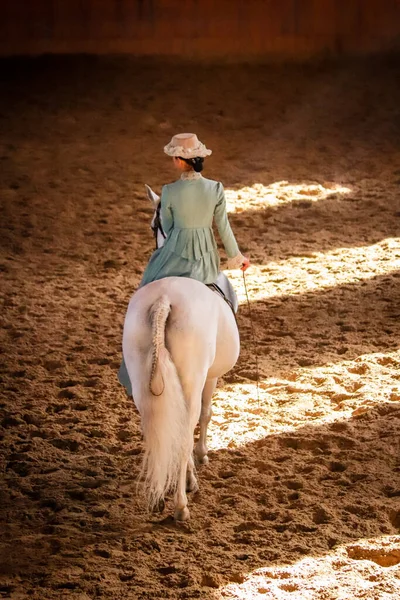 若い女性が馬に乗っている 馬術スポーツ ドレッシング — ストック写真