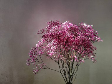 Bouquet pink flowers in twilight