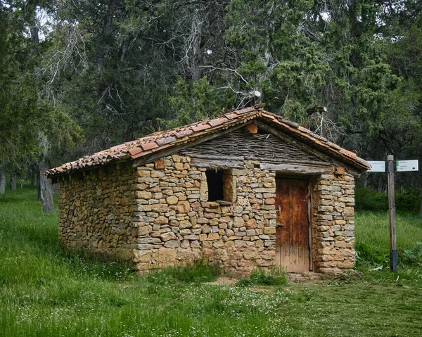 Antigua Casa Piedra Bosque — Foto de Stock