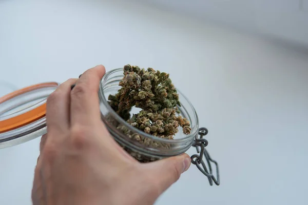 Uso Recreativo Marihuana 2022 Cultivo Fumar Cannabis — Foto de Stock