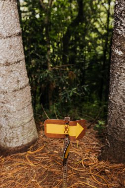 Hawaii ormanlarındaki bir patikada hasar görmüş yürüyüş tabelası.