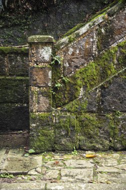 Brezilya Rio de Janeiro 'daki yeşil yağmur ormanlarındaki eski kayalık merdivenlerin güzel manzarası