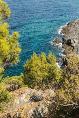 Akdeniz kıyıları.