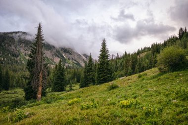 Fotoğraflar Eagles Nest Wilderness, Colorado 'da sırt çantası gezisinde çekildi.