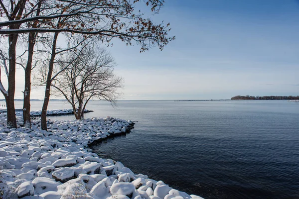 冬にオンタリオ湖の岸に沿って雪に覆われた岩や木 — ストック写真