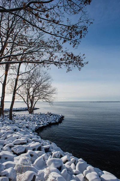 Schneebedeckte Felsen Und Bäume Ufer Des Ontariosees Winter — Stockfoto