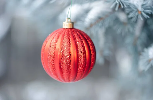 Červené Vánoční Ozdoba Visí Zasněžené Větev Věčně Zeleného Stromu — Stock fotografie