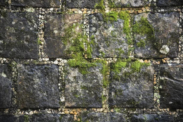 Krásný Výhled Starou Kamenitou Zeď Bahnem Deštných Pralesích Rio Janeiro — Stock fotografie