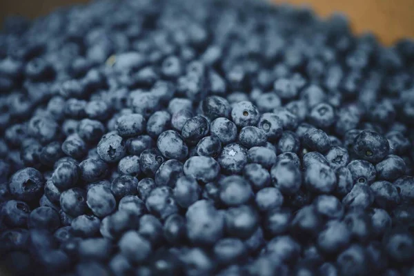 Closeup Blueberries Fresh Picked Box — Stock Photo, Image