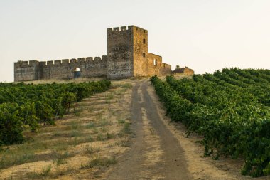 Bölgedeki şatonun manzarası