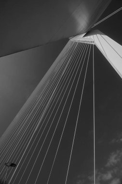 Rotterdam şehir merkezindeki Erasmus Köprüsü Çalışması