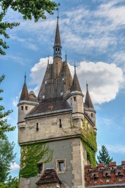 Budapeşte, Macaristan 19.08.2021. Macaristan 'ın Budapeşte kentindeki Vajdahunyad Şatosu, bir yaz günü