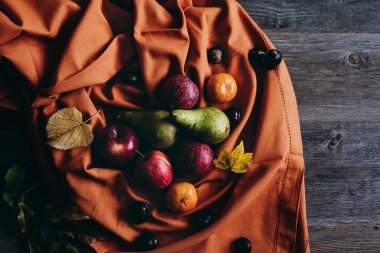 Sonbahar Meyvesi Turuncu Battaniyeye Sarılı