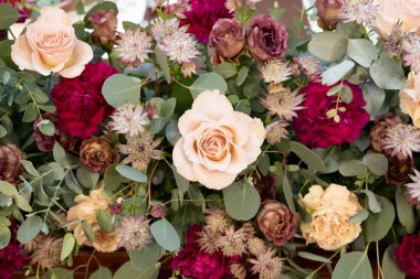 Bir sürü sonbahar renkli çiçek toplanır.