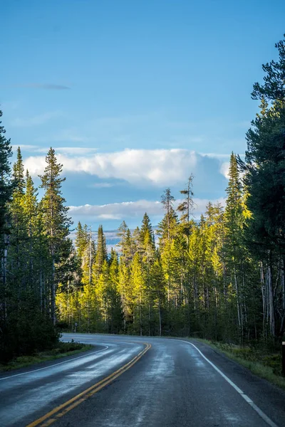 Road Trip Naar Het Beschermde Gebied Van Het Prachtige Park — Stockfoto