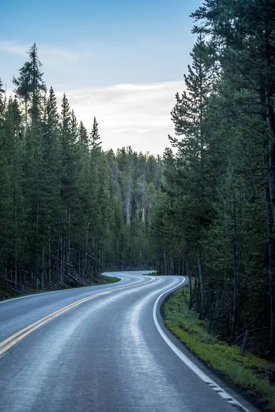 Road Trip Naar Het Beschermde Gebied Van Het Prachtige Park — Stockfoto