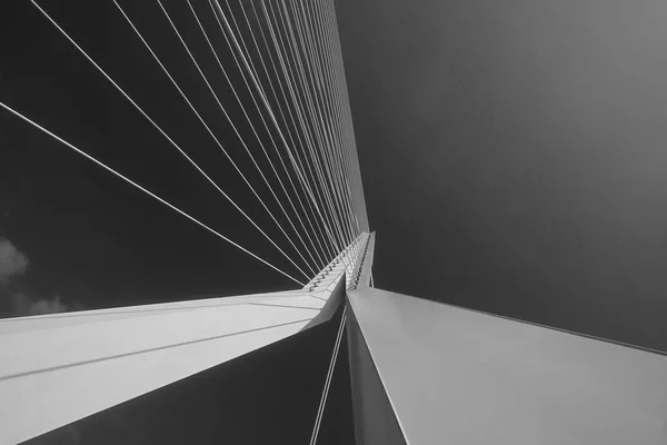 Дослідження Моста Еразма Центрі Роттердама — стокове фото