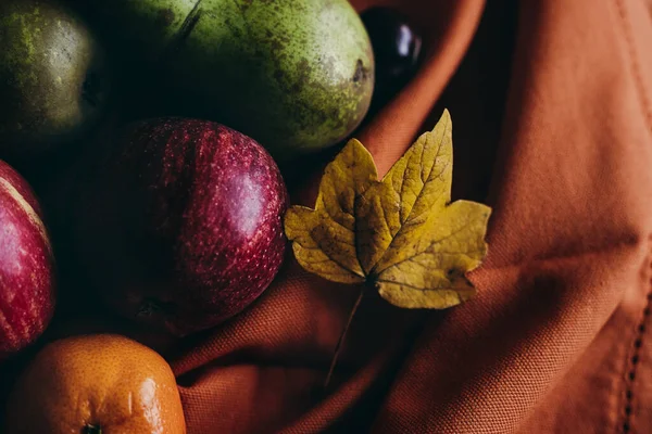 Herfst Herfst Fruit Bladeren Verpakt Doek — Stockfoto