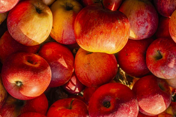 a bunch of ripe tap apples