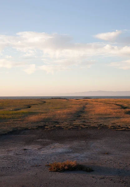 草と遠くの山の範囲を持つ湿地 サンマテオ — ストック写真