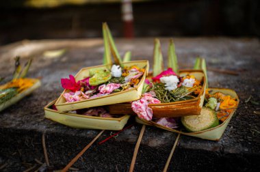 Törensel günlük adaklar. Ubud. Bali. Endonezya