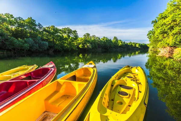 Kayaks Colorés Dans Une Rivière — Photo