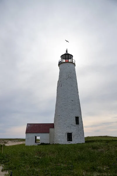 Seagull Flying Stunning Lighthouse Blocking Sun — Stock Photo, Image