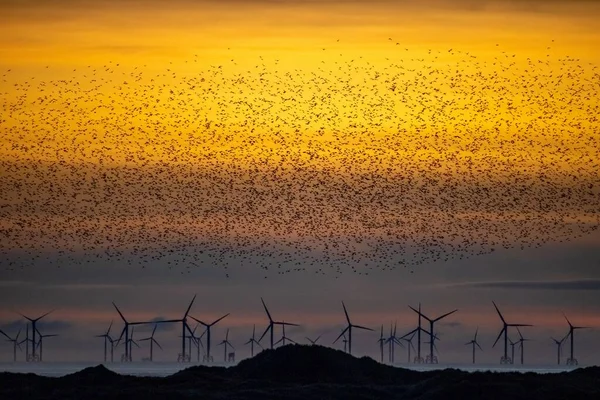 Weather Sunset Sandscale Haws Cumbria — стокове фото