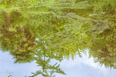 Quimper 'deki Lanniron bahçeleri. Odet' in kıyısında yer alan Lanniron malikanesi, Quimper piskoposlarının eviydi..