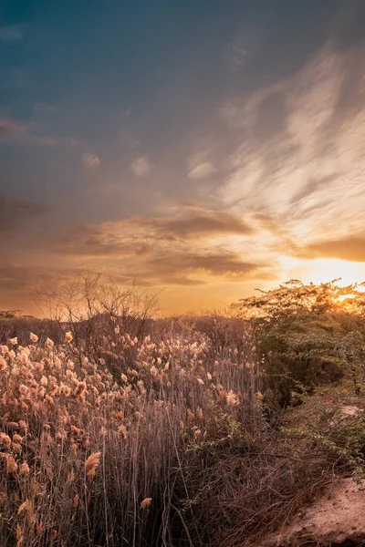 Cielo Atardecer Naturaleza Desértica — Foto de Stock