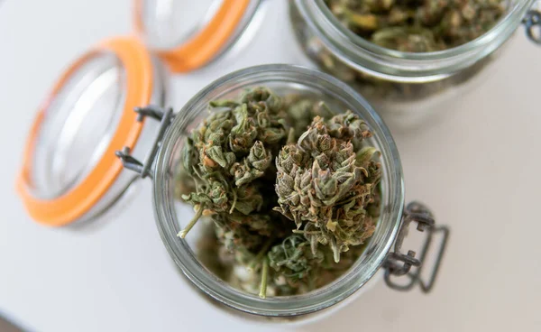 Freizeitkonsum Von Marihuana Cannabis Forschung — Stockfoto