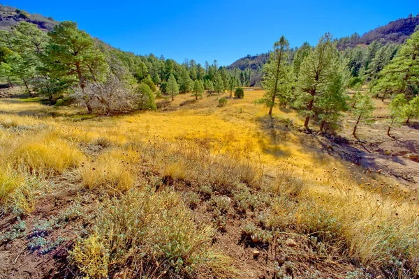 Jeden Dvou Jezírek Woodchute Mountain Wilderness Mezi Jerome Prescott Arizona — Stock fotografie