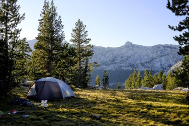 Yosemite Ulusal Parkı 'ndaki kamp alanı