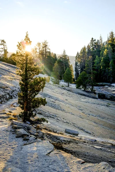 Brzy Ráno Podél Stezky Yosemitském Národním Parku — Stock fotografie