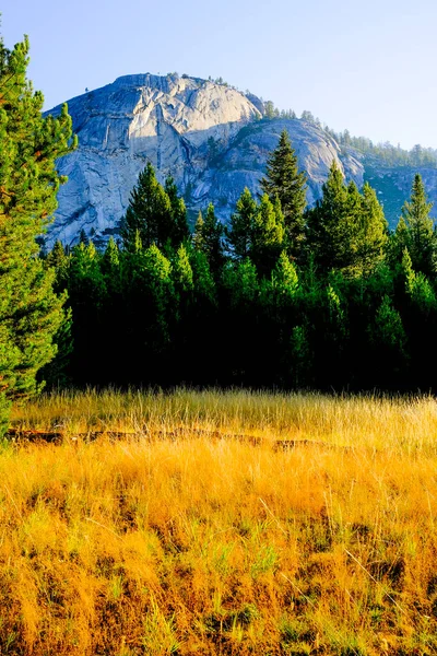 Louka Yosemitském Národním Parku — Stock fotografie