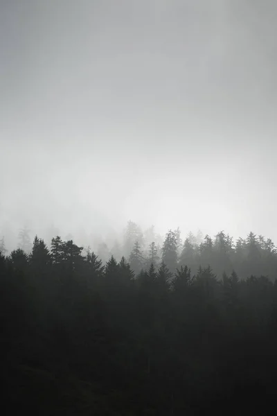 Niedrig Hängender Nebel Über Den Bergen Küstennähe — Stockfoto