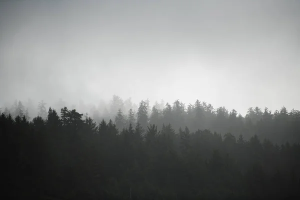 Niebla Colgante Baja Sobre Las Montañas Oregón Costero —  Fotos de Stock