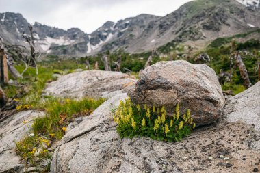 Photos taken during a backpacking trip in the Indian Peaks Wilderness, Colorado clipart