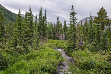 Fotoğraflar Indian Peaks Wilderness, Colorado 'da sırt çantasıyla gezerken çekildi.