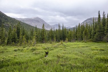 Fotoğraflar Indian Peaks Wilderness, Colorado 'da sırt çantasıyla gezerken çekildi.