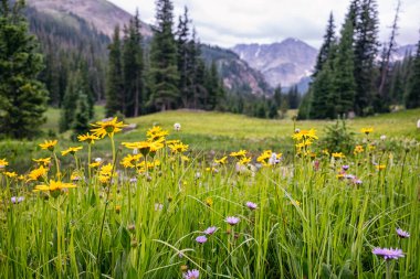 Fotoğraflar Indian Peaks Wilderness, Colorado 'da sırt çantasıyla gezerken çekildi.