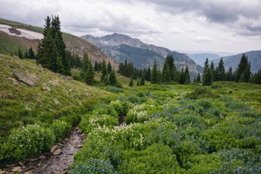 Fotoğraflar Indian Peaks Wilderness, Colorado 'da sırt çantasıyla gezerken çekildi.