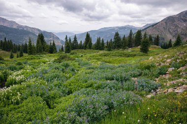 Fotoğraflar Indian Peaks Wilderness, Colorado 'da sırt çantasıyla gezerken çekildi.