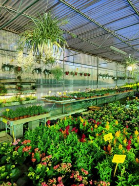 Bitki sergisi kısmi görünümü